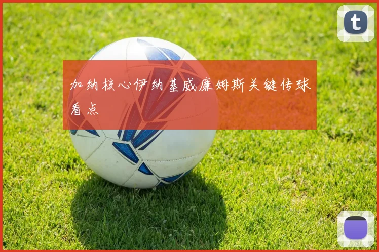 加纳核心伊纳基威廉姆斯关键传球看点