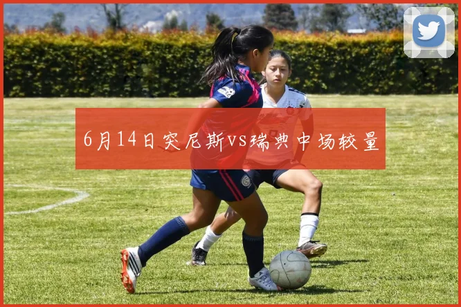 6月14日突尼斯vs瑞典中场较量