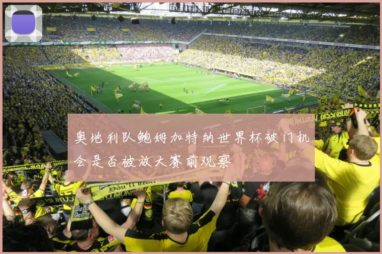 奥地利队鲍姆加特纳世界杯破门机会是否被放大赛前观察