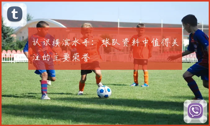 认识横滨水手：球队资料中值得关注的主要荣誉