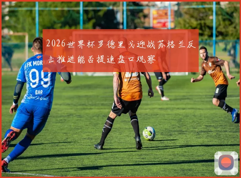 2026世界杯罗德里戈迎战苏格兰反击推进能否提速盘口观察